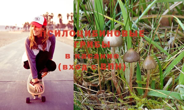 героин Сосновый Бор